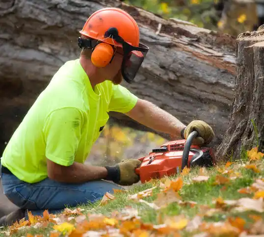 tree services Leisuretowne